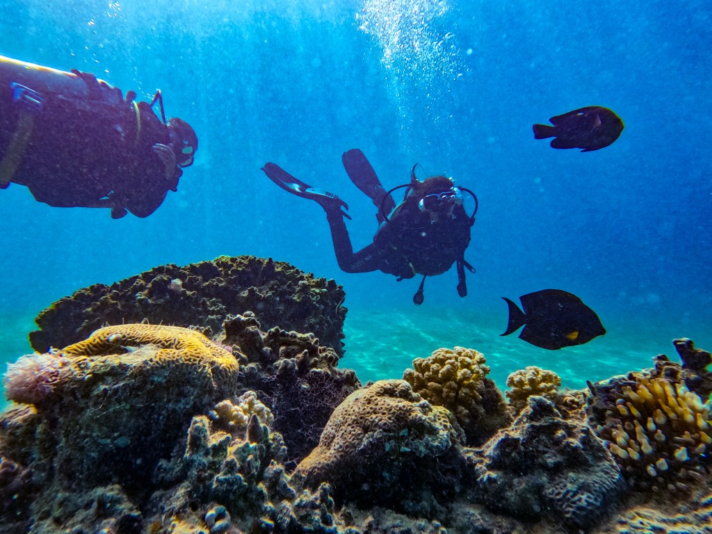 Buceo en Aqaba